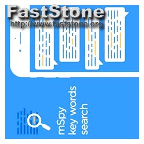 Is mspy.com Fake